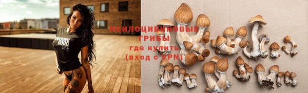 МДМА Богородск