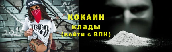 индика Богданович