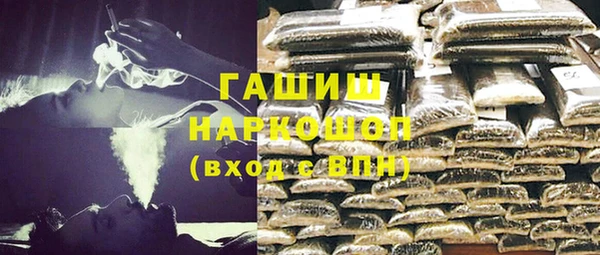 индика Богданович
