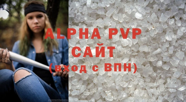 индика Богданович