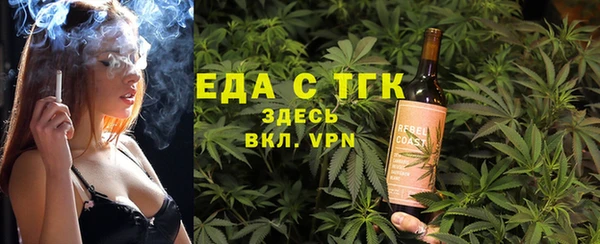 индика Богданович
