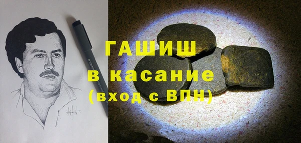 индика Богданович