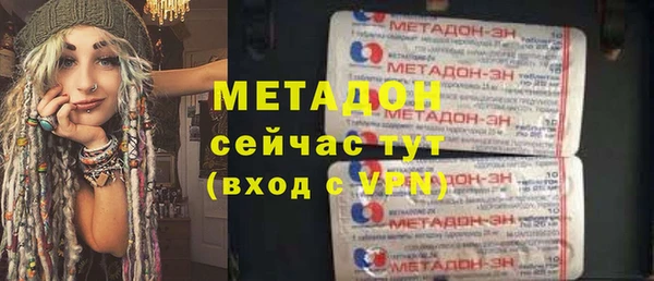 индика Богданович
