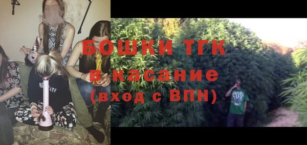 гидра Няндома