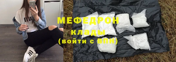 мдпв Богородицк