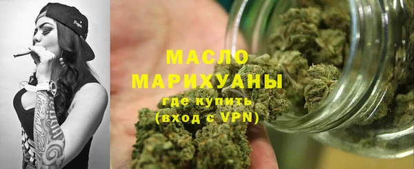 гидра Няндома