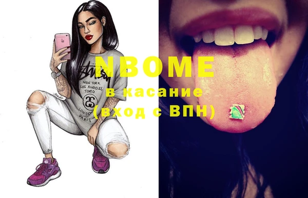 индика Богданович